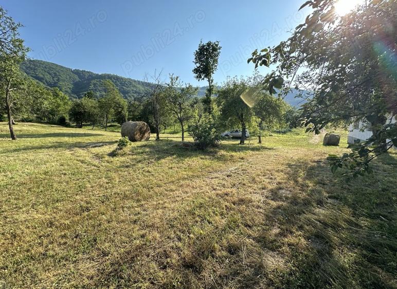 Vand casa si teren 10000mp - 7