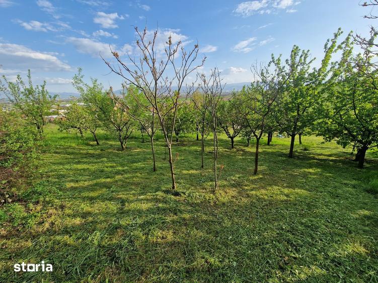 Teren de 1250 mp, în Șura Mare