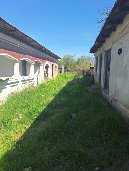 Casă cu 4 camere în Berceni