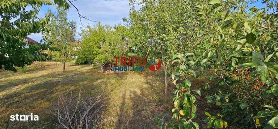 Teren Intravilan de Vanzare in Ighiu, 747 mp Ideal pentru Casa intr- - 3