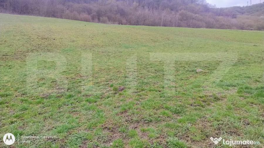 Teren superb 2.500 mp in Nicula lini?te, natura ?i p - 4