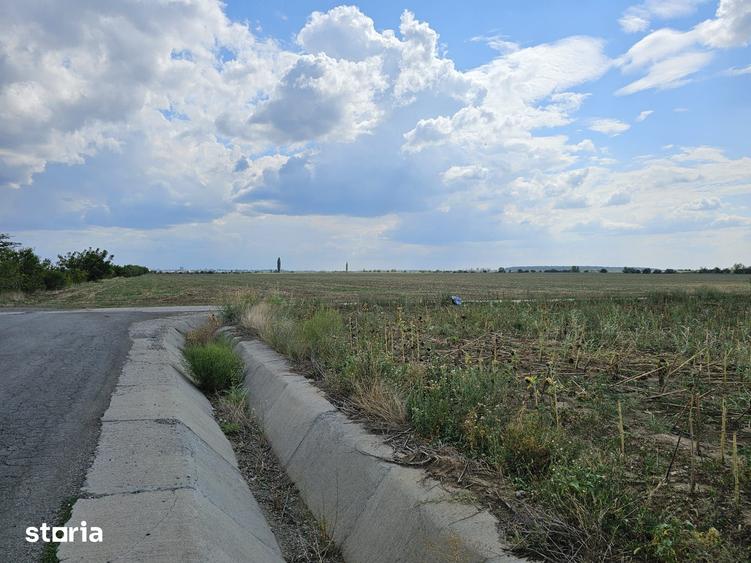 Spațiu comercial, de 14,900 mp, în Mogoșoaia