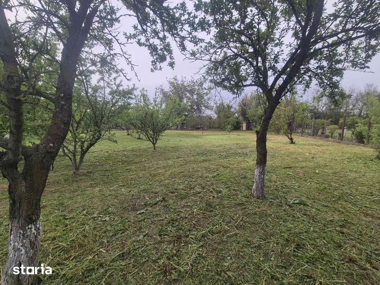 Casă cu 10 camere cu Teren 2529 Mp în Bolintin-Deal