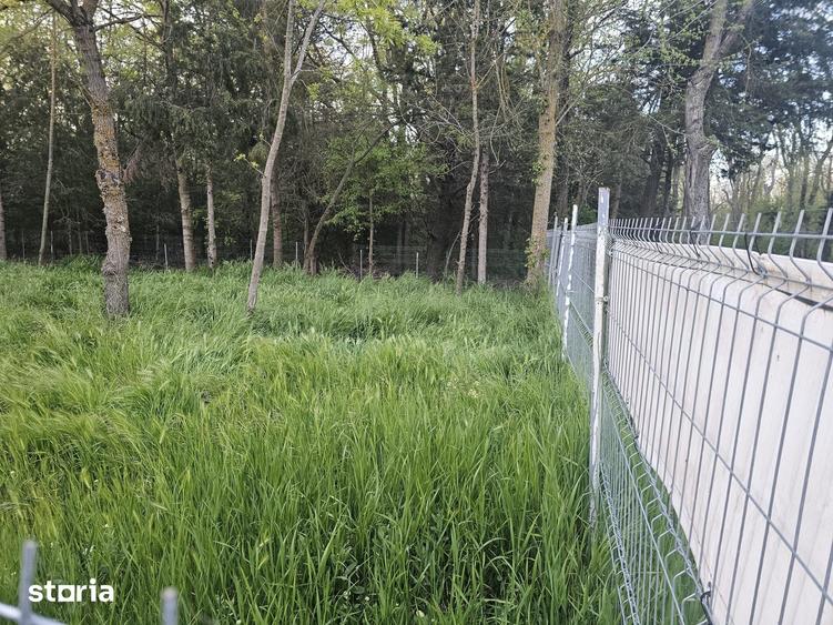 Teren de 500 mp, în Central