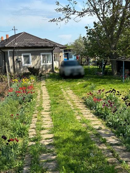 Casă cu 3 camere cu Teren 2110 Mp în Sud