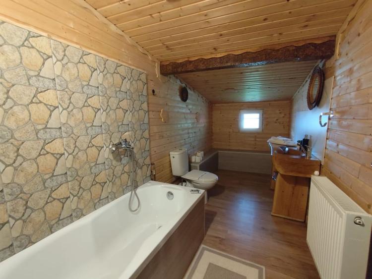 Casă individuală cu 10 camere cu Piscina în Strungari
