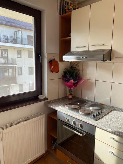 Apartament cu 2 camere în Sinaia
