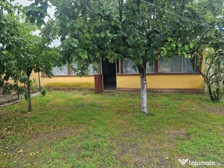 Casă cu 3 camere cu Teren 2100 Mp în Lunca