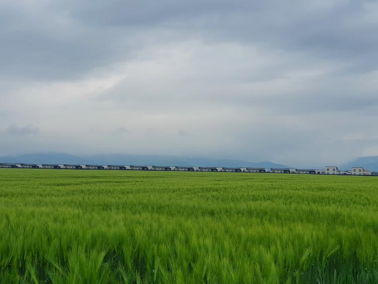 Teren Construcții intravilan de 9300 mp, în Tărlungeni