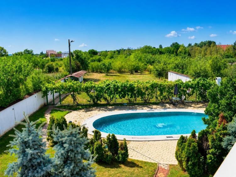 Casă individuală cu 8 camere cu Piscina în Domnești