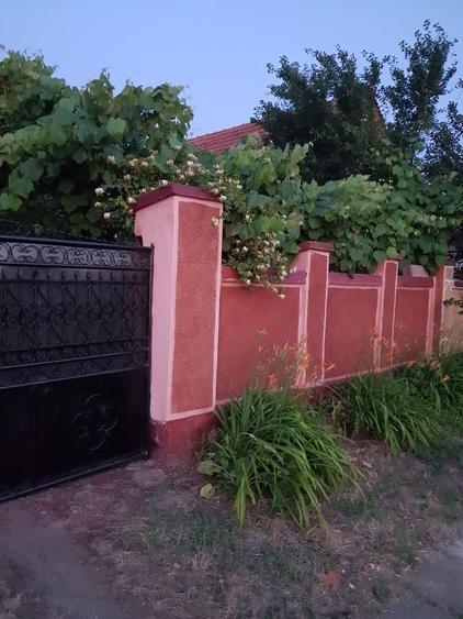 Vand casa an comuna Sicula jud Arad - 2