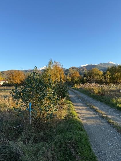 Vistisoara (poalele Muntilor Fagaras) - 5.200 mp - 156.000 euro (30 euro/ mp) - 1