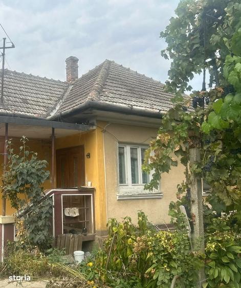 Casă cu Teren 471 Mp în Central