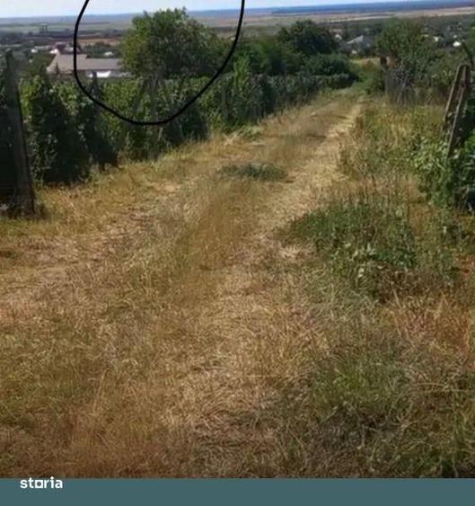 Teren de 1700 mp, în Valea Călugărească
