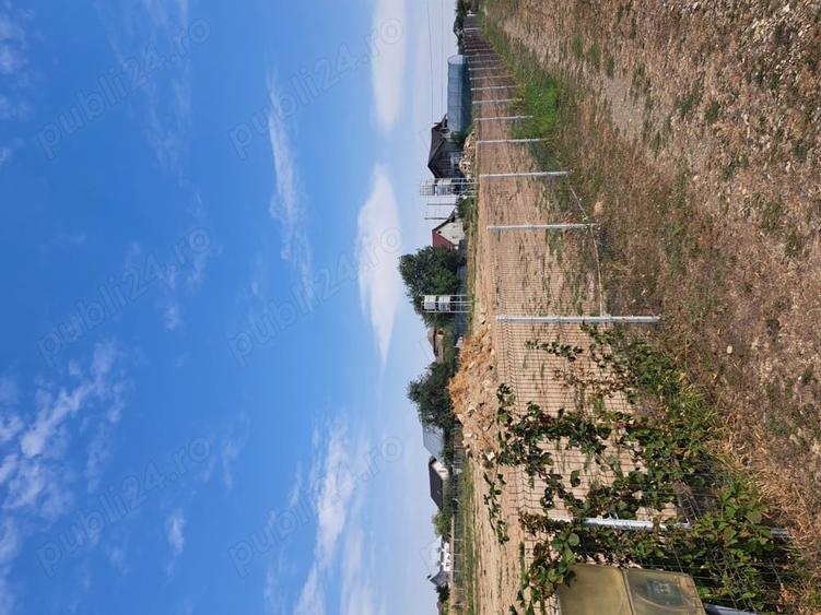 Teren de 4000 mp, în Plopeni