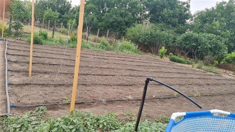 Casă individuală cu 2 camere cu Teren 1711 Mp în Topraisar