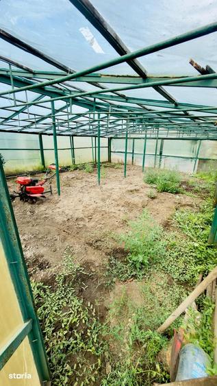 Casă cu 3 camere cu Teren 1600 Mp în Central