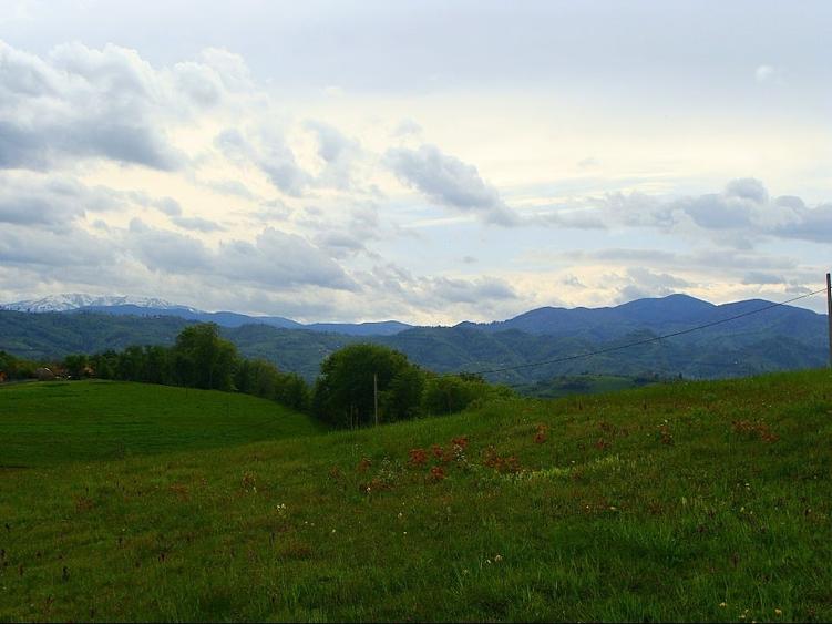 Teren Construcții intravilan de 11600 mp, în Poiana Mărului