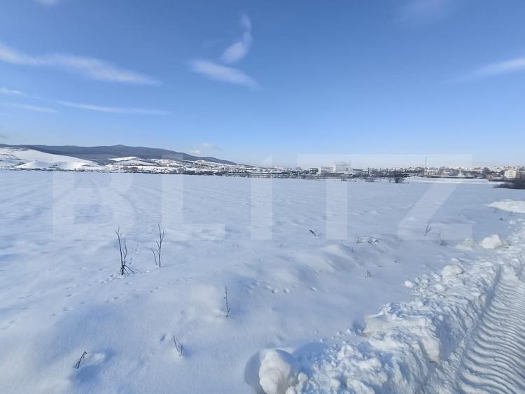 Teren Construcții intravilan de 7000 mp, în Sud