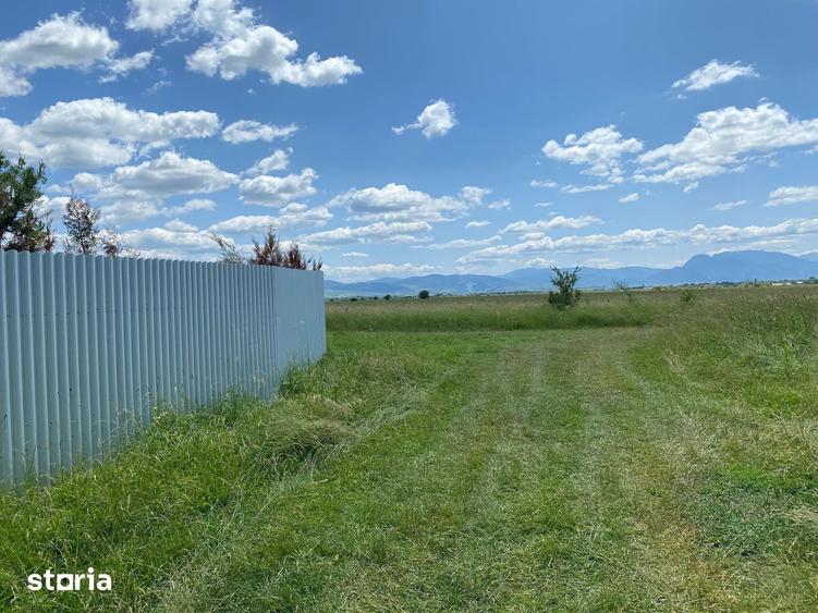Casă cu 3 camere cu Teren 1400 Mp în Dârste