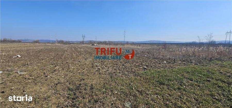 Teren de 6400 mp, în Central