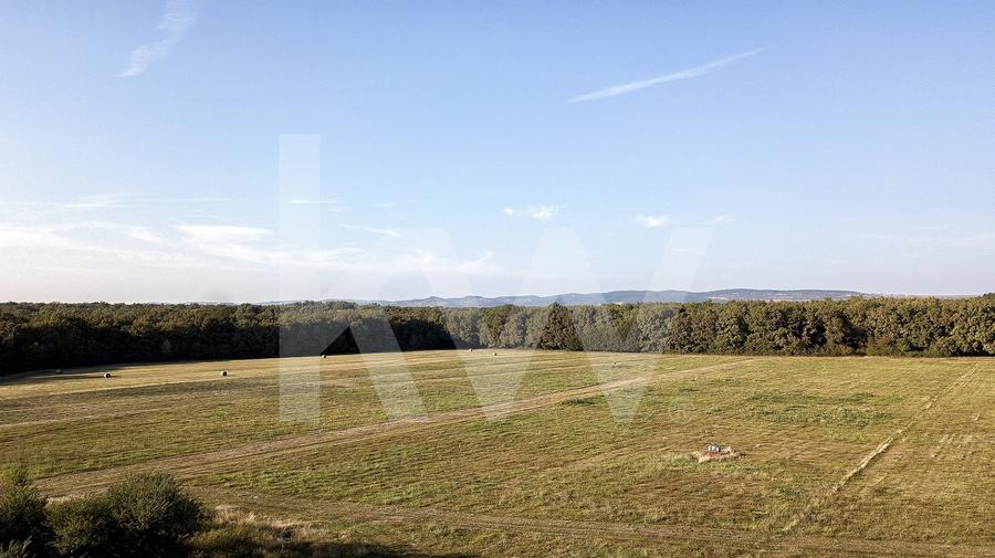 Teren agricol extravilan de 600 mp, în Cisnădie
