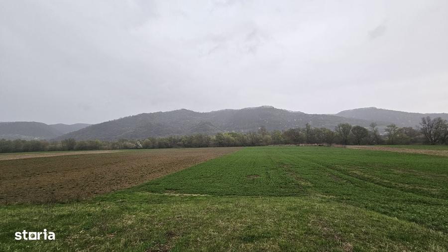 Teren de 4300 mp, în Dobrocina