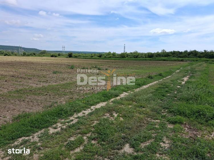 Teren Extravilan de Vanzare Maracineni, Sat Argeselu - 2