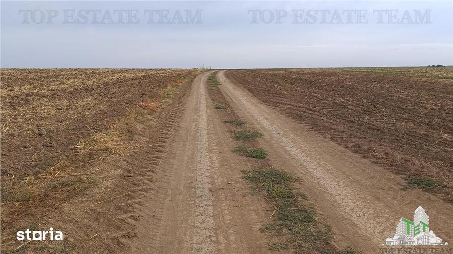 Teren de 81906 mp, în Petrăchioaia