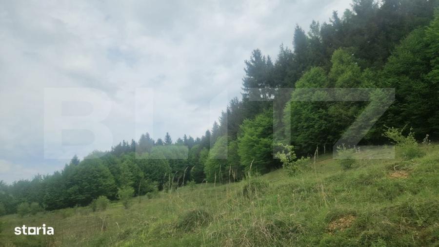 Spațiu comercial, în Vlădeni