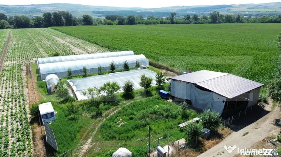 Teren extravilan 14.000 mp, Drambar Ciugud | solarii, f - 5