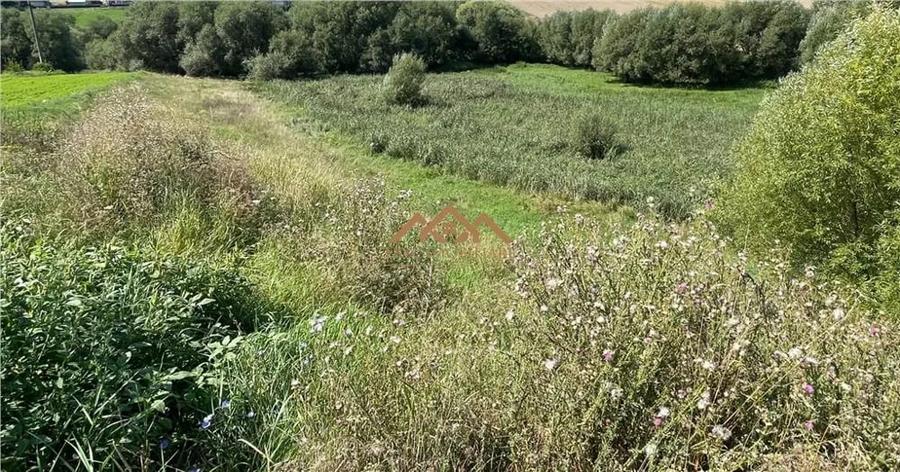 Teren de 8000 mp, în Moara