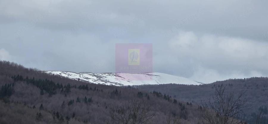 Teren de 2220 mp, în Valea Doftanei