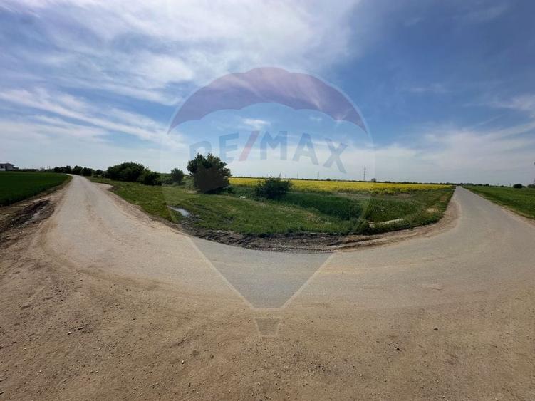 Teren Construcții intravilan de 545000 mp, în Dragomirești-Vale