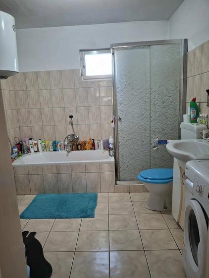 Casă cu 4 camere cu Teren 1770 Mp în Dudeștii Vechi