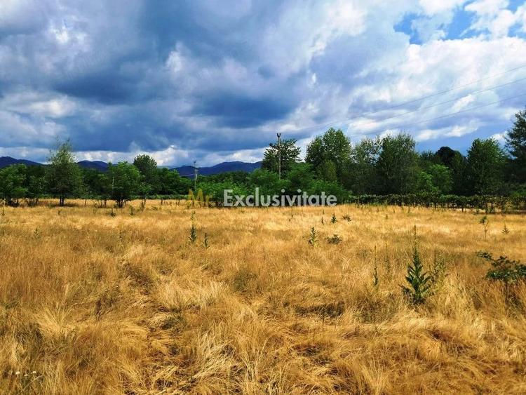 Teren de 2478 mp, în Polovragi