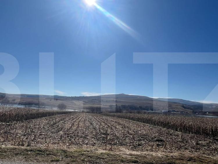 Teren agricol extravilan de 2016 mp, în Pădureni (Ciurila)