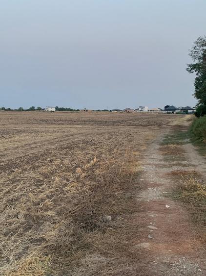 Teren agricol intravilan de 4000 mp, în Dimieni