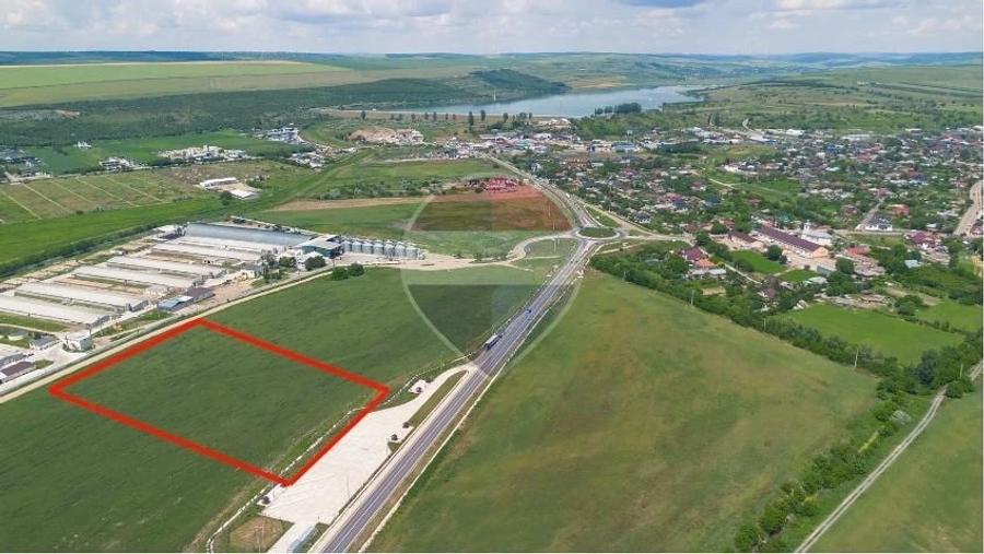 Teren de 8248 mp, în Zorleni