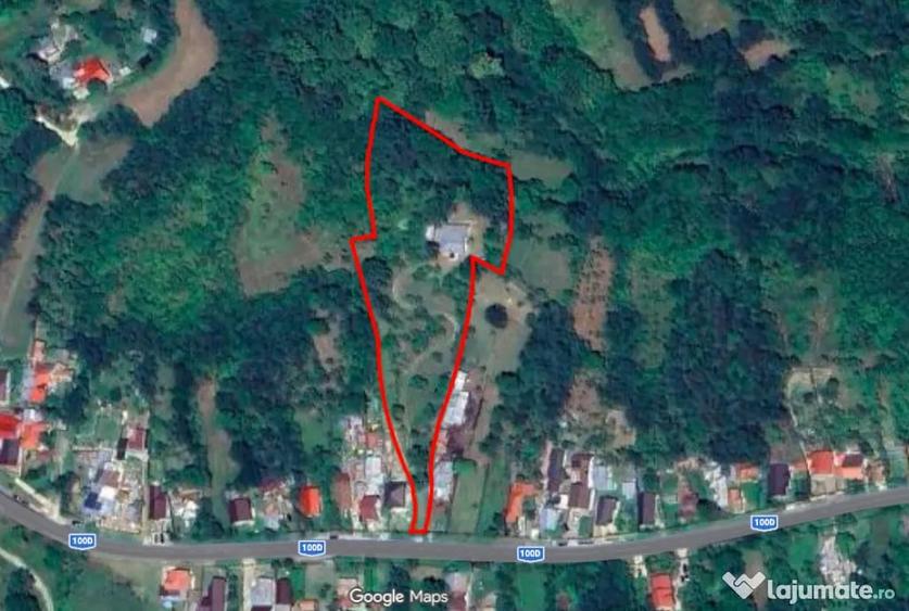 Mo?ia boiereasca din varf de deal, Scor?eni - Prahova! - 10