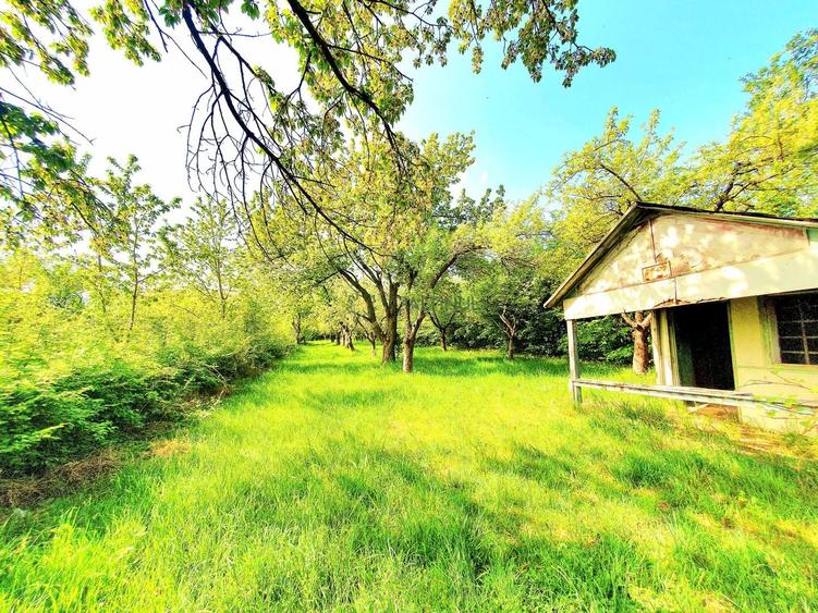 Teren agricol extravilan de 3200 mp, în Rășinari
