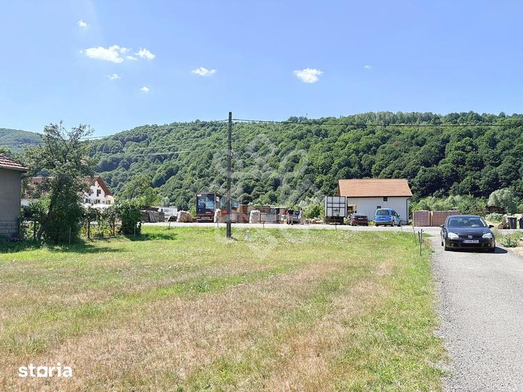 Teren de 4031 mp, în Negreni