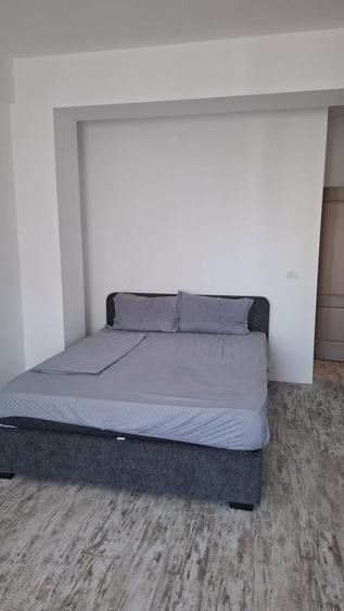 Apartament decomandat în Palazu Mare