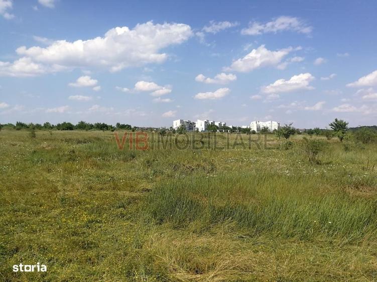 Baneasa - Piscul Reghiului, teren intravilan, suprafata 727 mp - 2
