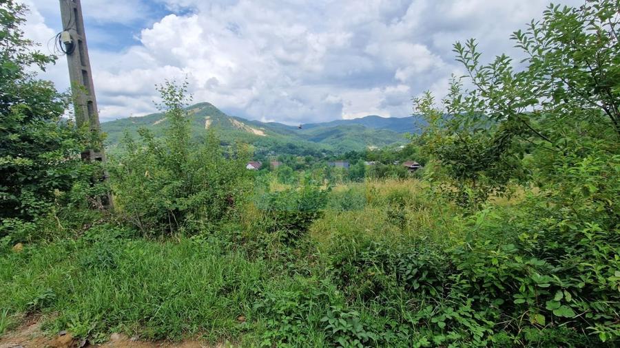 Teren de vanzare in Baia Sprie 5 ari Str. Pietrosu Comision 0% - 4