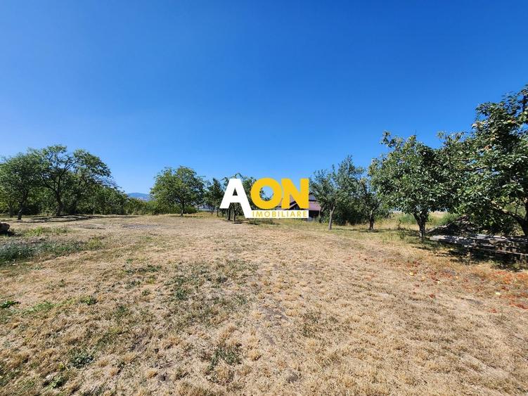 Teren Construcții intravilan de 10651 mp, în Oarda