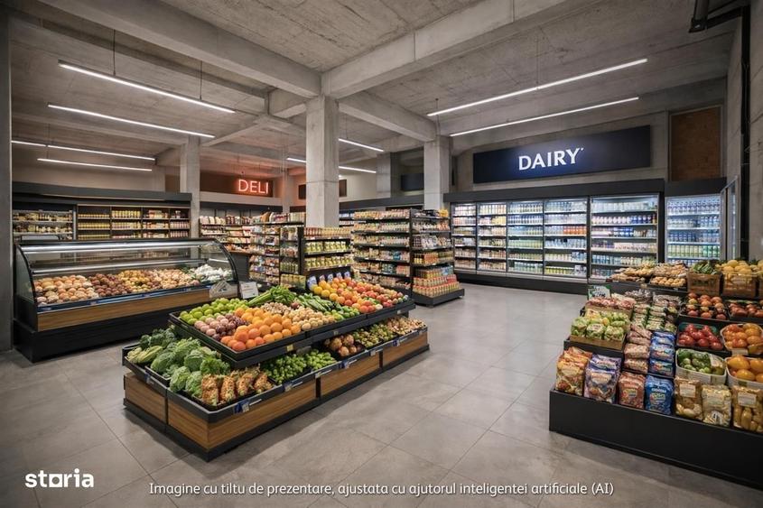 Spațiu comercial, de 241 mp, în Dacia