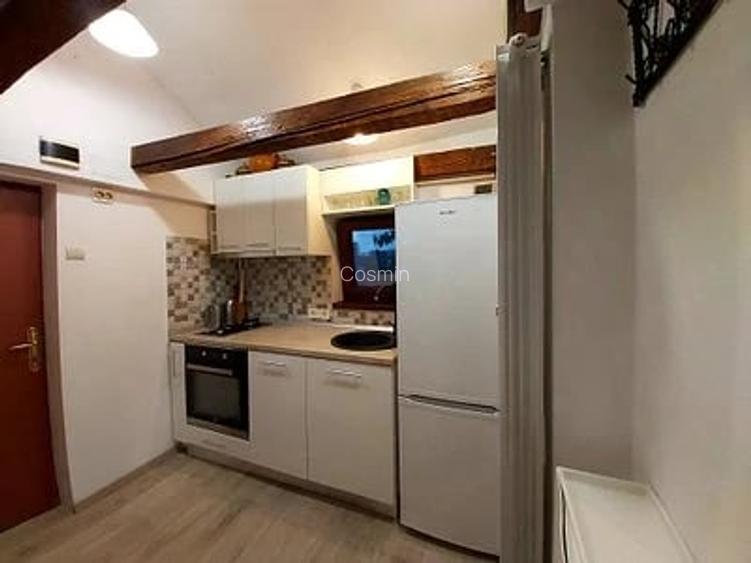 Garsoniera cocheta in Piata Victoriei + spatiu depozitare de inchiriat