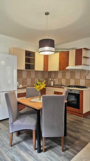 Apartament cu 2 camere semidecomandat în Dosu Bricii