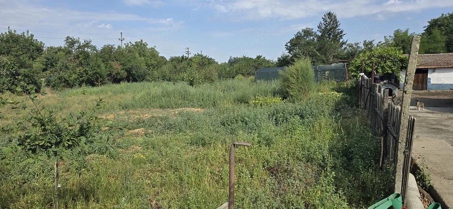 Casă cu Teren 2634 Mp în Chirnogeni